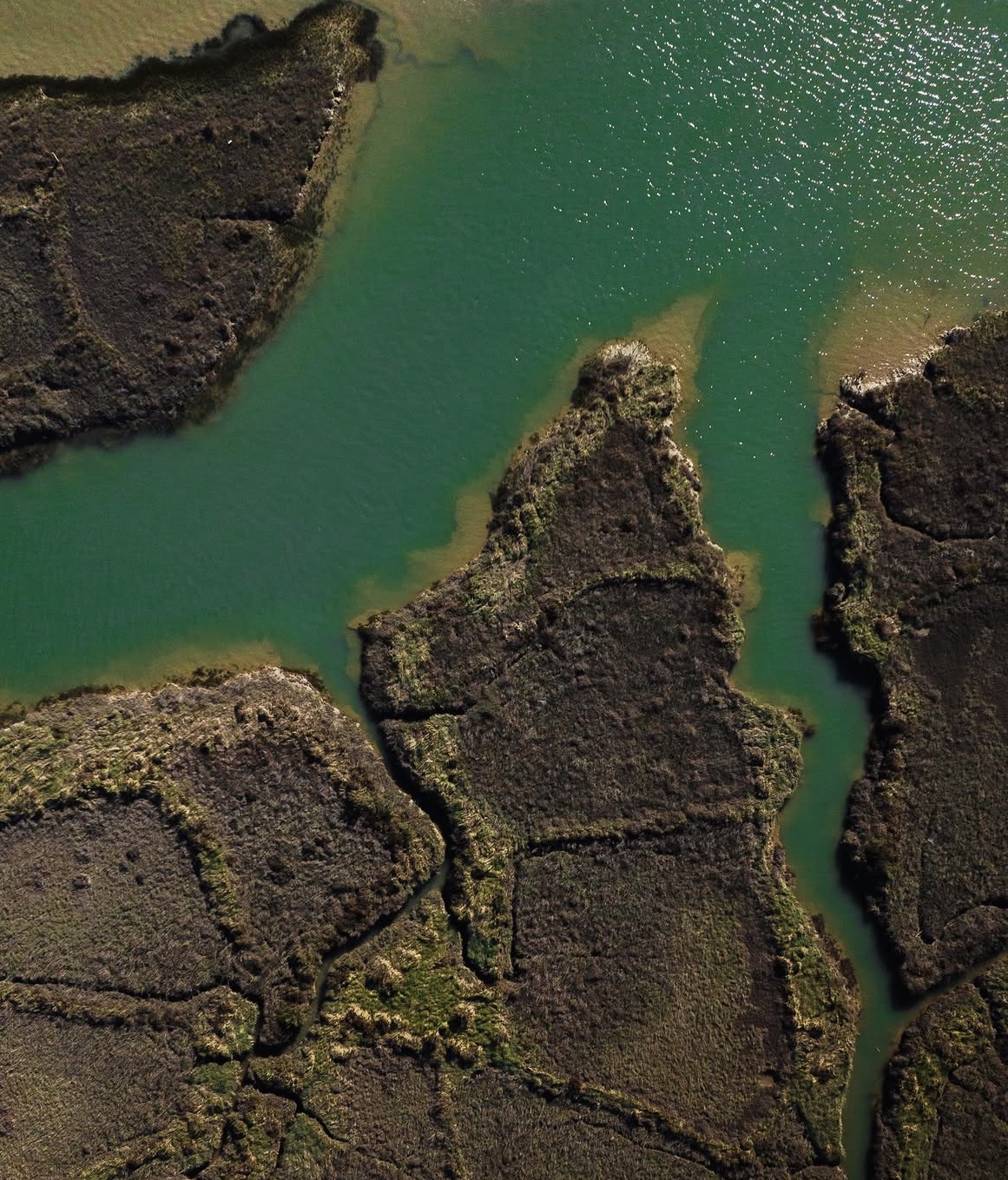 Vue aérienne du bassin, marais et eaux vertes entrelacées