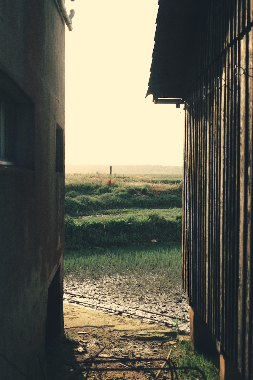 Vue des marais entre deux cabanes ostréicoles