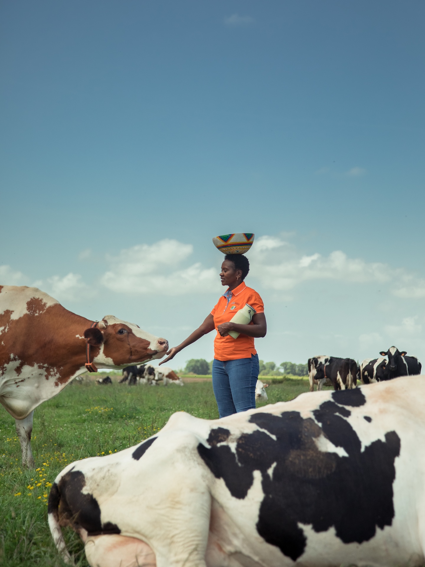 Mam'Adiza dans un pré avec ses vaches, un panier traditionnel sur la tête