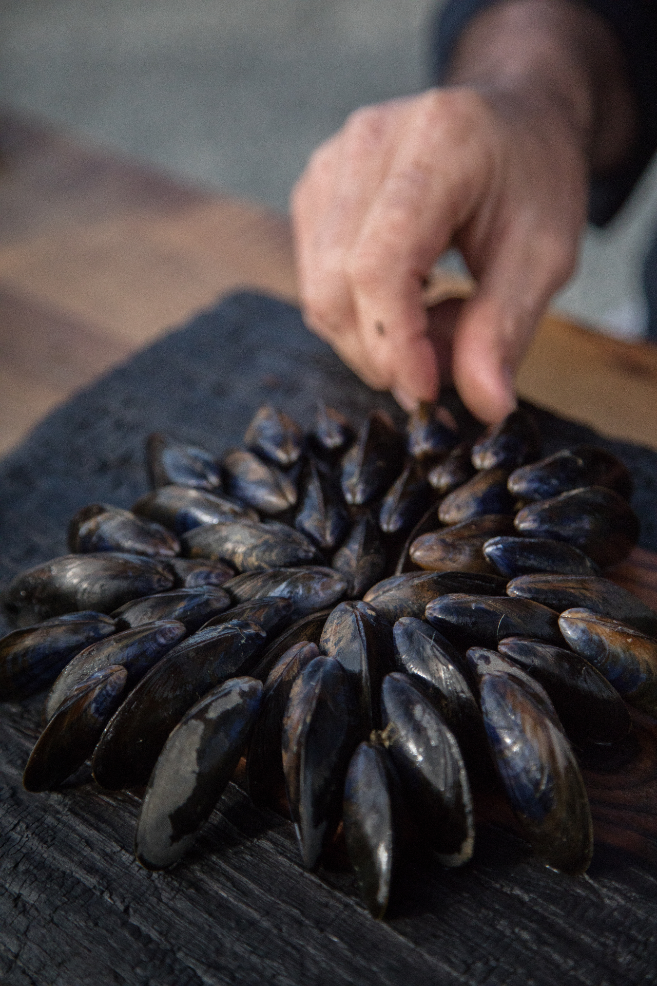 Moules disposées en rosace sur une planche de bois brûlée, main en train de poser une coquille