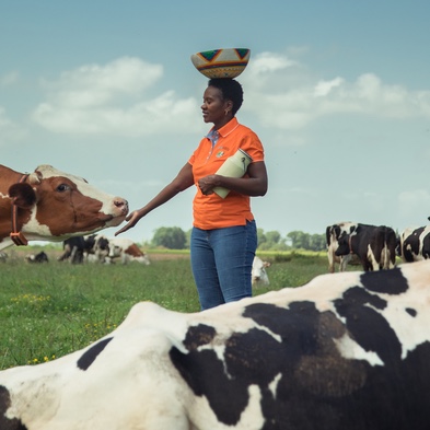 Mam'Adiza dans un pré avec ses vaches, un panier traditionnel sur la tête